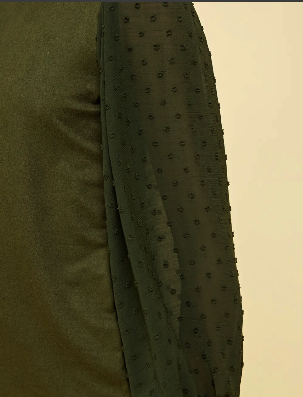 Top with Detailed Swiss Dot Sleeves