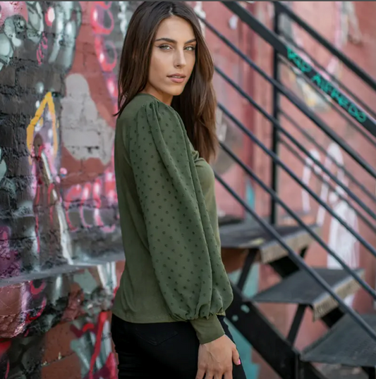 Top with Detailed Swiss Dot Sleeves